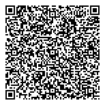 QR код "АНП Зенит Аудит"