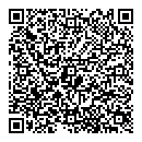 QR код "Гепард"
