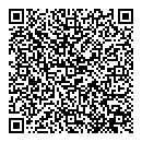 QR код "Шторм"