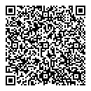 QR код "Сияние"