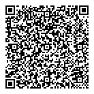 QR код "DNS"