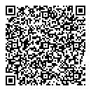 QR код "Домино"