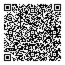 QR код "333"