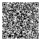 QR код "Доминго"