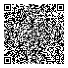 QR код "9drive"