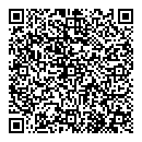 QR код "Денди"