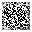 QR код "Алиса"