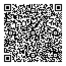 QR код "Lux"