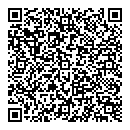 QR код "Глобус"
