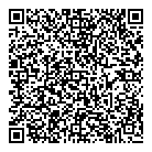 QR код "VLM, ТОО"
