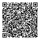 QR код "Полёт"
