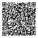 QR код "Fiesta"