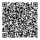 QR код "Alize"
