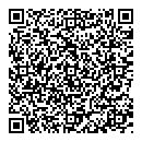 QR код "Глобус"