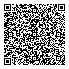 QR код "Шаровик"