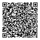 QR код "Мир"