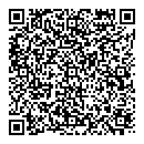 QR код "Demo"