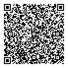 QR код "Шелл"