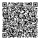 QR код "Davinci"