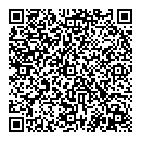 QR код "Мост"