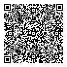 QR код "ДНС"