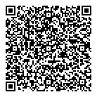 QR код "Дворцы"