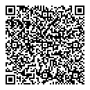 QR код "Гейша"