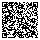 QR код "Алиса"