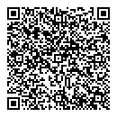 QR код "Алиса"