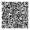QR код "Indigo"