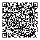 QR код "Flash"