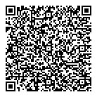 QR код "СтройСпецТехника"