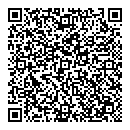 QR код "Спутник"
