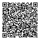 QR код "Вымпел"