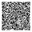 QR код "Звёздочка"