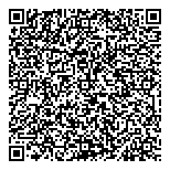 QR код "Professional"