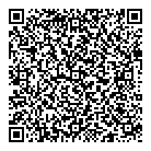 QR код "Созвездие"