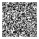 QR код "SKF"