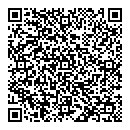 QR код "SKF"