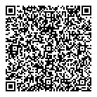 QR код "Домино"
