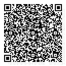 QR код "Flash"