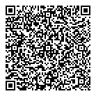 QR код "SavinMotors-17"