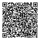 QR код "Луч"