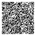 QR код "Булычев сити"