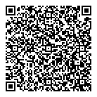 QR код "Близнецы"