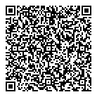 QR код "ДНС"