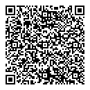 QR код "Викинг"