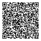 QR код "ДНС"