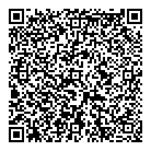 QR код "Спутник стиль"