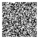 QR код "Глобус"